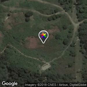 Uva de La Aurora