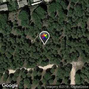 Bosque cerca Camino Boecillo