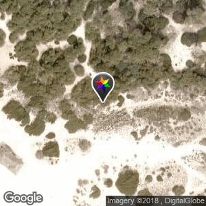 Detrás del chiringuito del Arenal de Sa Rápita