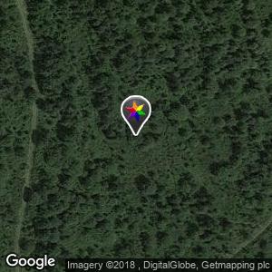 Whiteshaw Woods