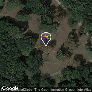 Bosque de bolonia