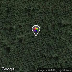 Forêt près Aeroport d'Andernos-les-Bains