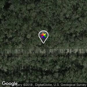 Big Tree Park