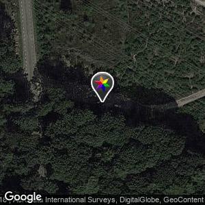 Bos bij de Rendac