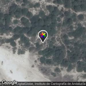 Pinares Zona Nudista
