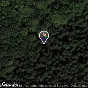 Plantsoenbos