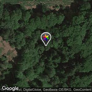 Wald