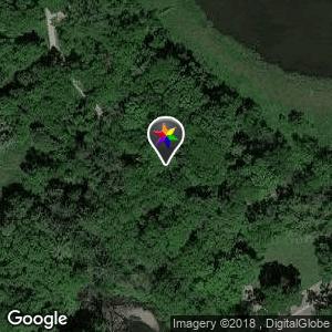 The Arboretum