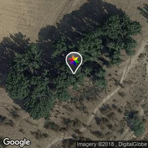 Bosque Arroyo de Quijorna