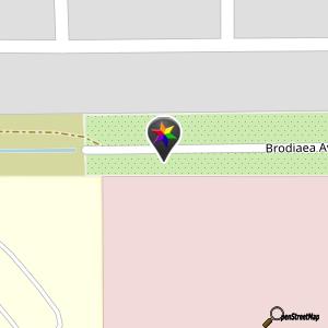 Brodiaea Drive