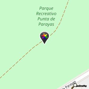 Punta Parayas