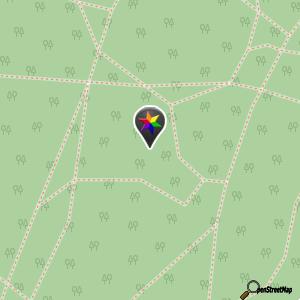 Bursted Woods