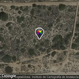 Cabopino y dunas de artola