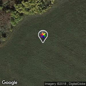 River Lot 56