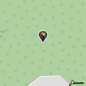 Ringland Woods