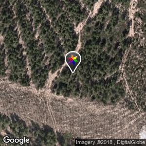 Zona de los pinos en Crta. El pantano