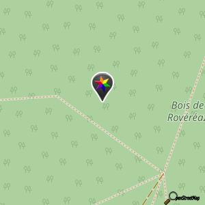 Bois de Rovéréaz