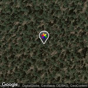 Wald bei Großräschen Ost