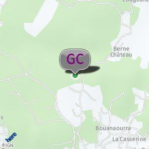 Chateau Berne woods