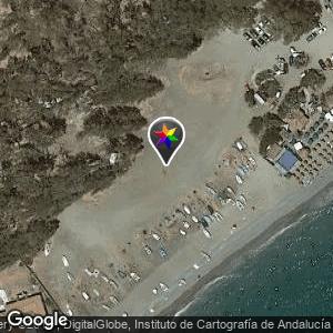 Zona eucaliptus-Guadalmina