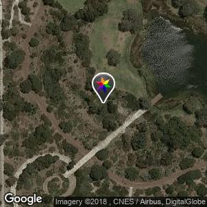 Skate Park-White Gum Valley
