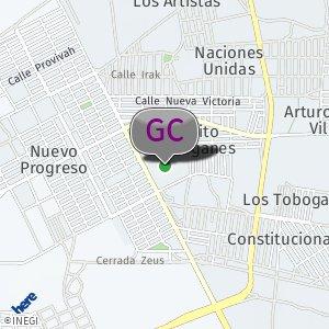 Pulga de Reservas