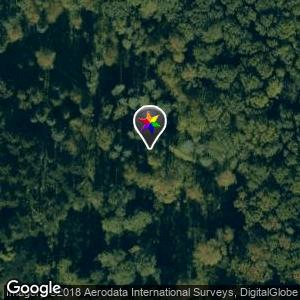 Kralingse Bos