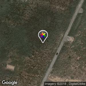 Camino dels Tamarits (zona bungalows abandonados) - Castellón