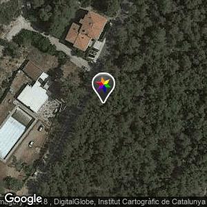 Bosque Piscinas Can Lloses