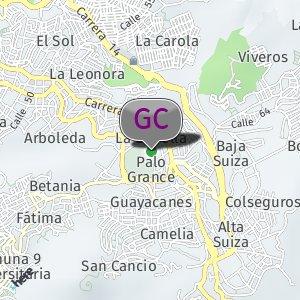 Coliseo Mayor