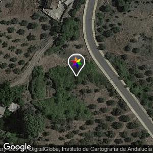 Camino a flores, Olivar-Álora