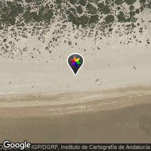 En las dunas de la playa