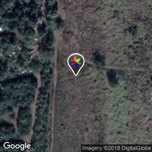Jardines del Campestre