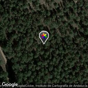 Área de servicio Los Pinares